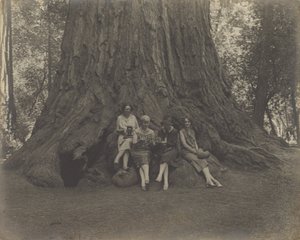 (Vrouwen met camera